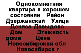 Однокомнатная квартира в хорошем состоянии › Район ­ Дзержинский › Улица ­ Дениса Давыдова › Дом ­ 7 › Этажность дома ­ 9 › Цена ­ 10 000 - Новосибирская обл., Новосибирск г. Недвижимость » Квартиры аренда   . Новосибирская обл.,Новосибирск г.